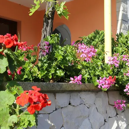 Tri Zala 4432b Zrnovo