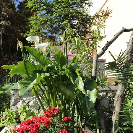 Tri Zala 4432b * Zrnovo