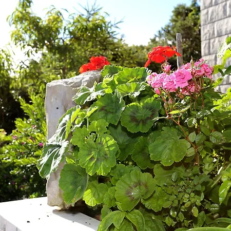 Tri Zala 4432b Apartman Zrnovo