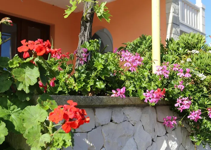 Tri Zala 4432b Zrnovo