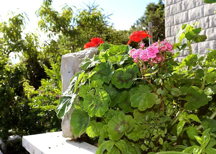 Tri Zala 4432b Appartement Zrnovo