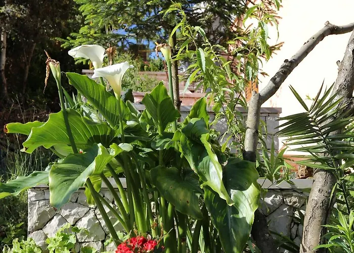 Tri Zala 4432b * Zrnovo